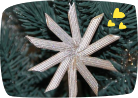 silver penne star
